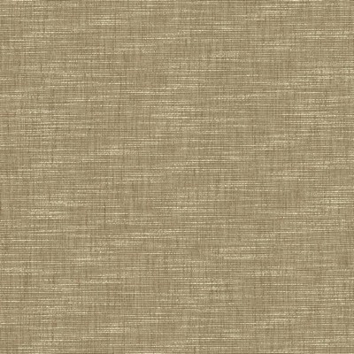 Kasmir BELTRAN          SKIMMING STONE  